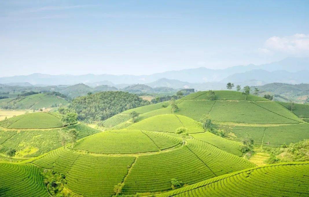 乡村美的诗词（乡村美景现代诗）