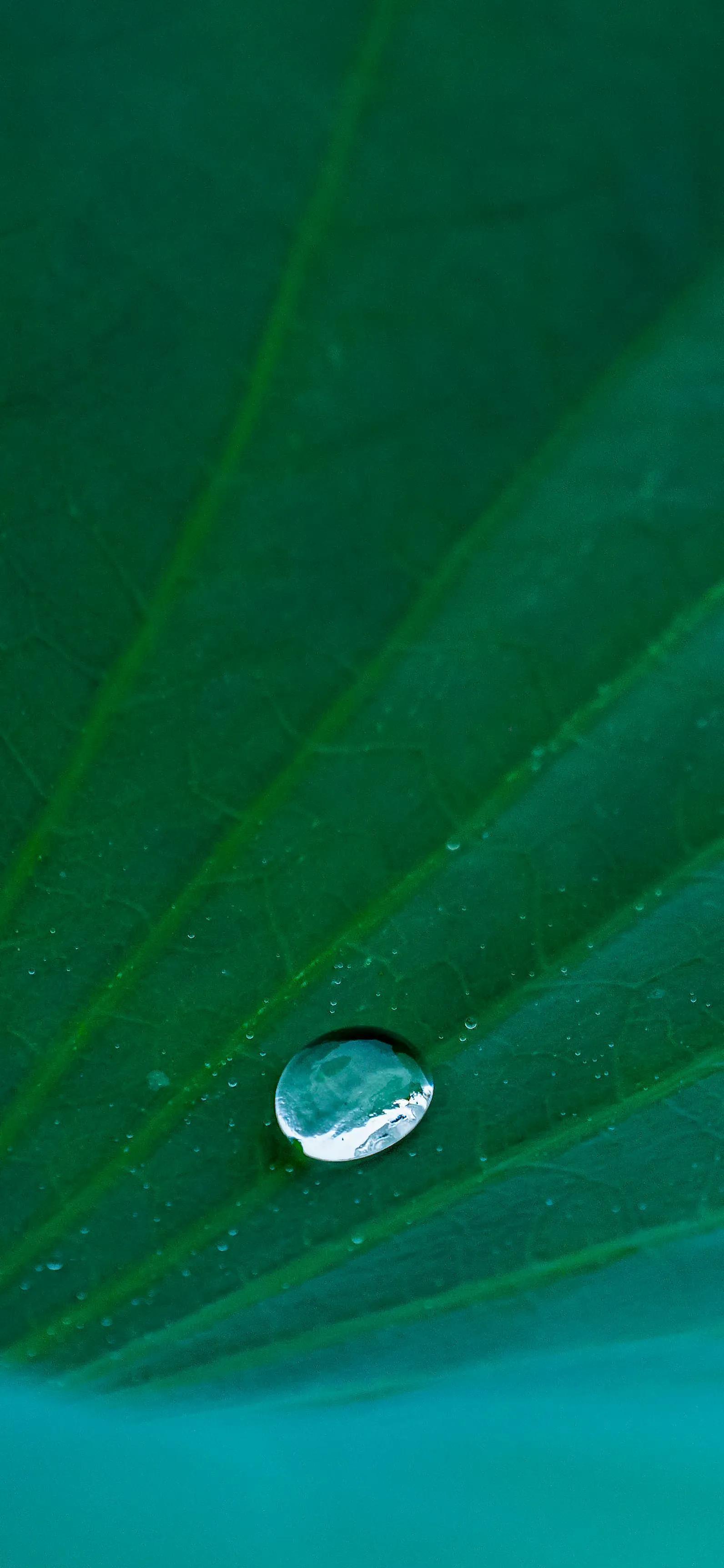 励志古诗词经典名句（励志古诗词大全）