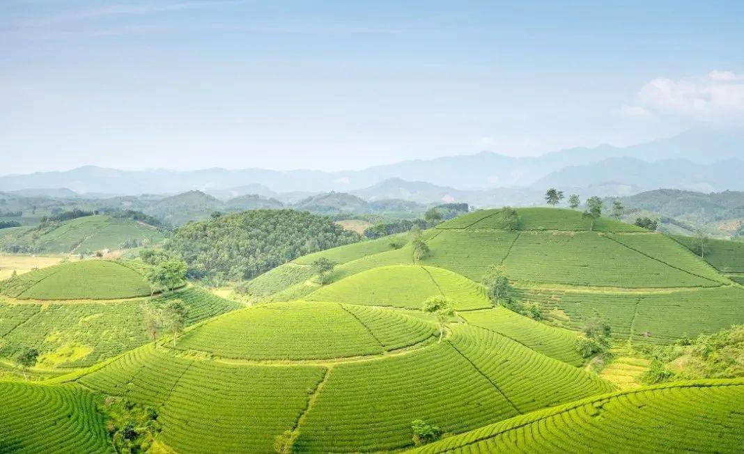 乡村美的诗词（乡村美景现代诗）