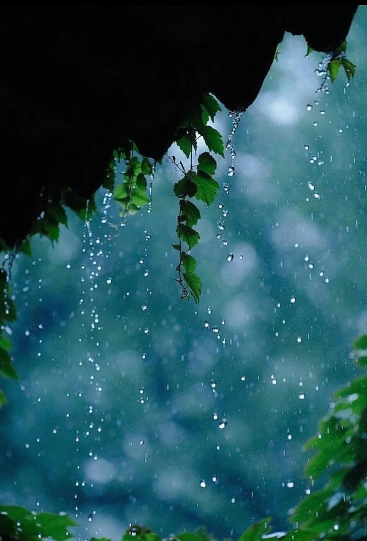 下雨天的美好句子（关于下雨天的唯美句子）