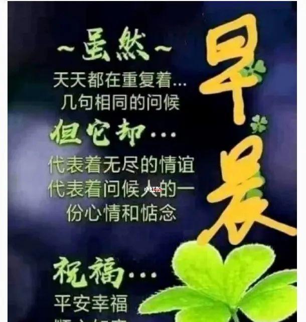 最新特别漂亮早安问候祝福图片带字（早安最美图片 问候语早安问候语）