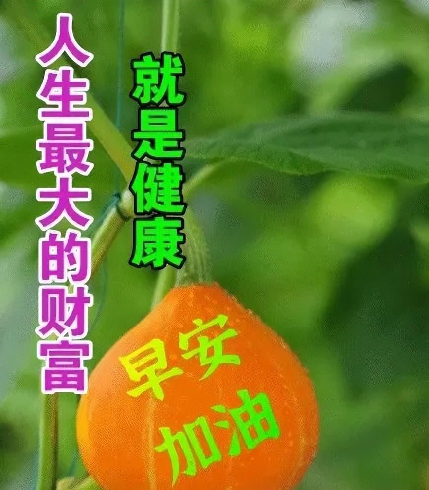 最新特别漂亮早安问候祝福图片带字（早安最美图片 问候语早安问候语）