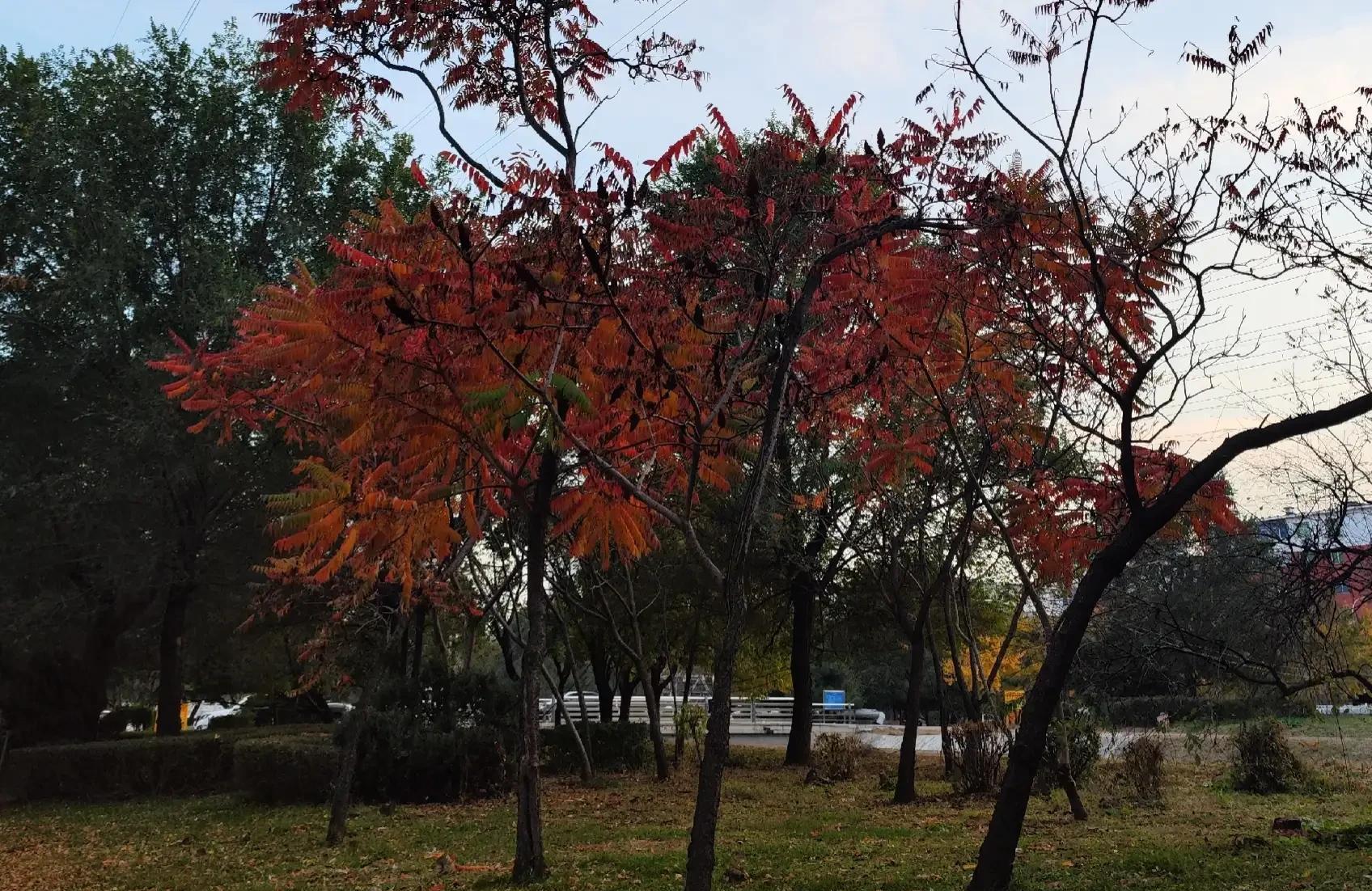 清晨阳光早安心语（清晨充满阳光的早安心语祝福）