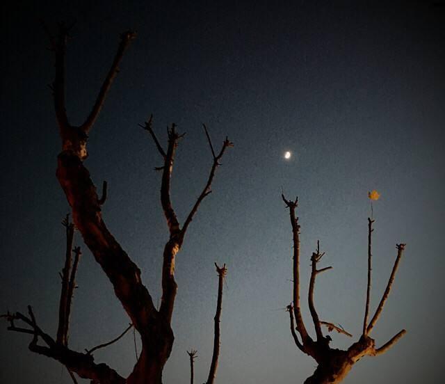 长夜难眠的诗词（长夜漫漫难入眠的全诗）