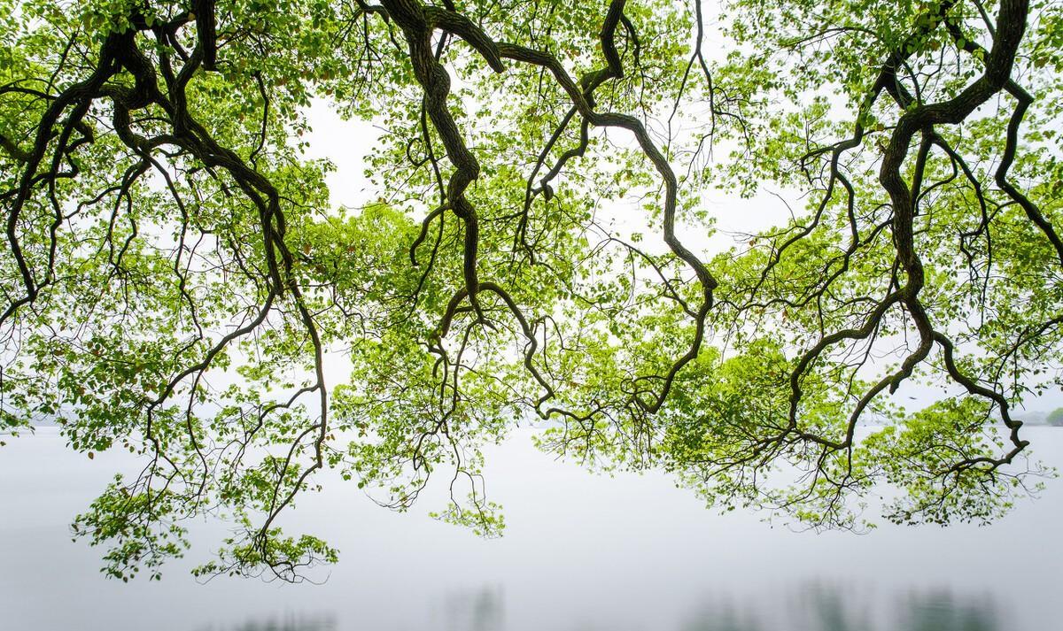 欧阳修写颍州西湖的诗词（苏东坡赞美颖州西湖）