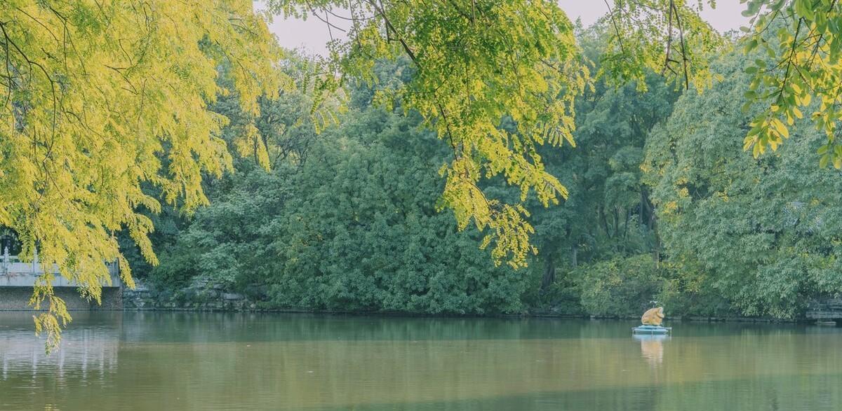 欧阳修写颍州西湖的诗词（苏东坡赞美颖州西湖）