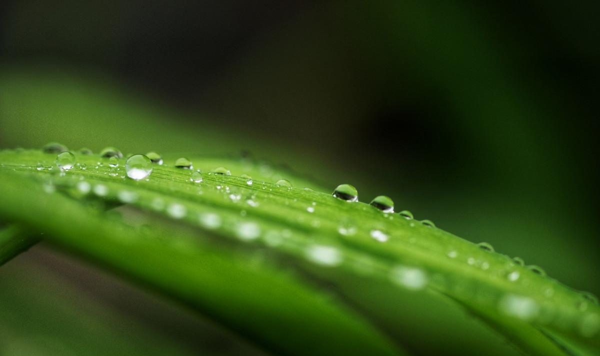 有哪些关于春雨的诗（关于春雨的古诗大全）