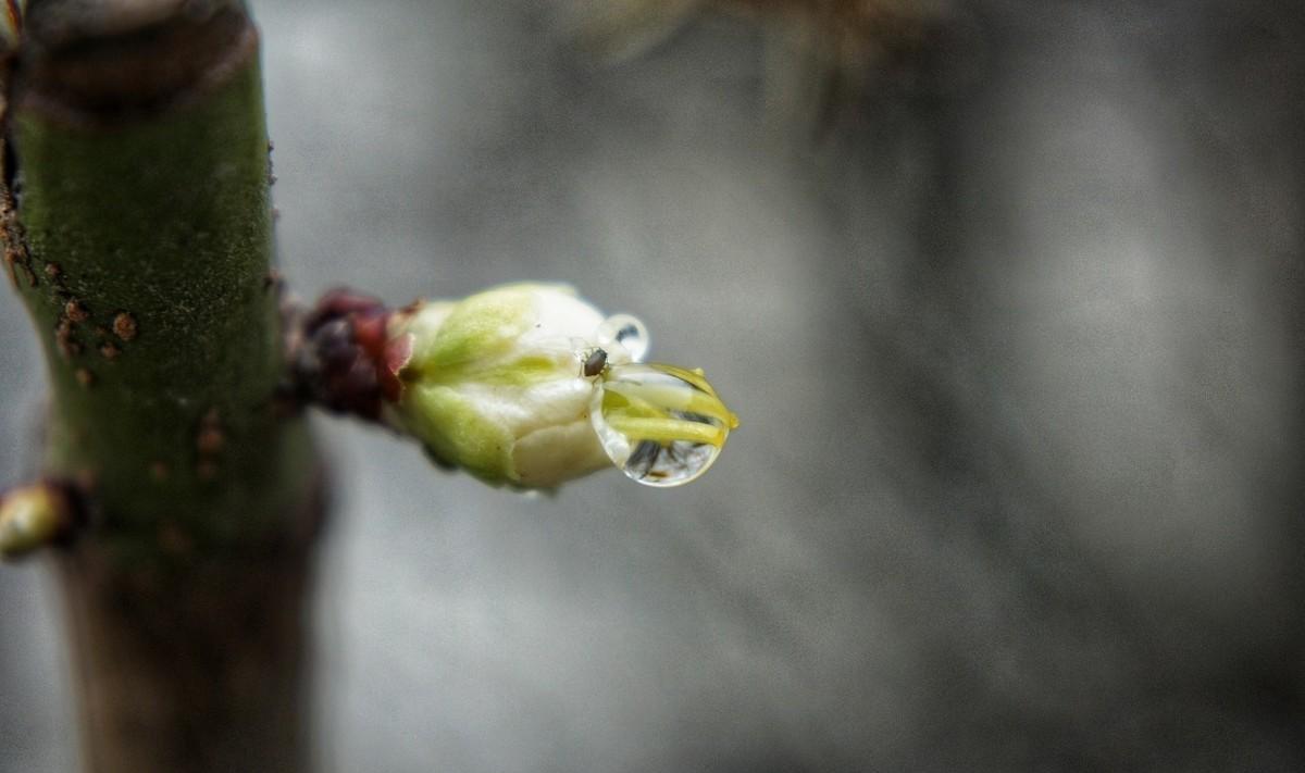 有哪些关于春雨的诗（关于春雨的古诗大全）