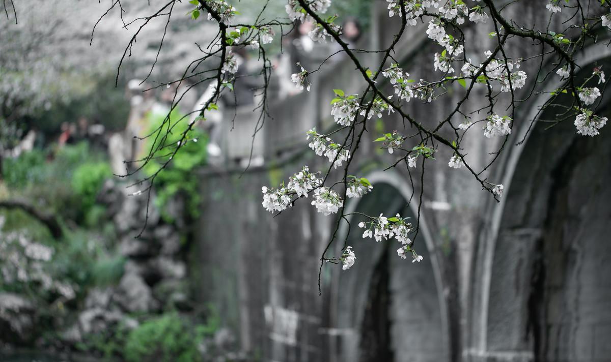 有哪些关于春雨的诗（关于春雨的古诗大全）