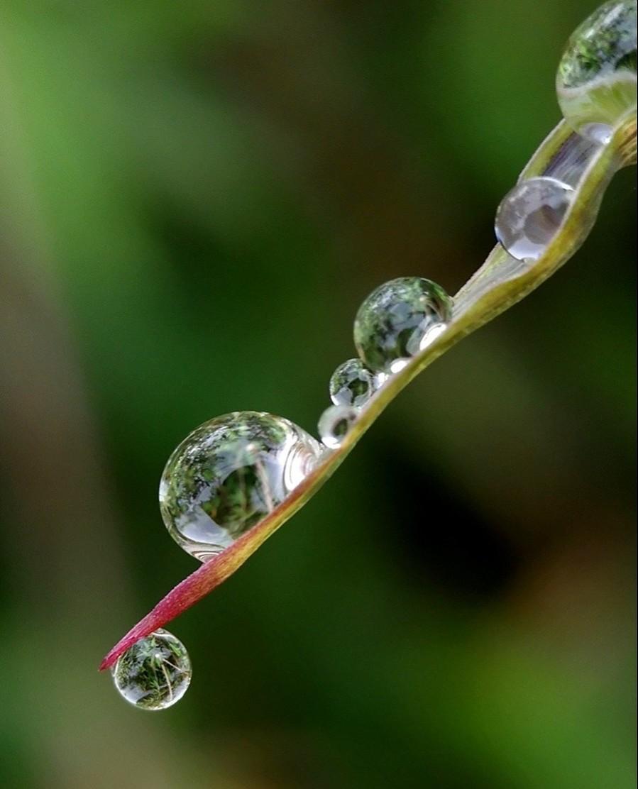 有哪些关于春雨的诗（关于春雨的古诗大全）