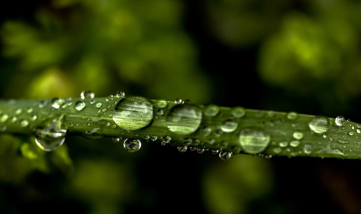 有哪些关于春雨的诗（关于春雨的古诗大全）