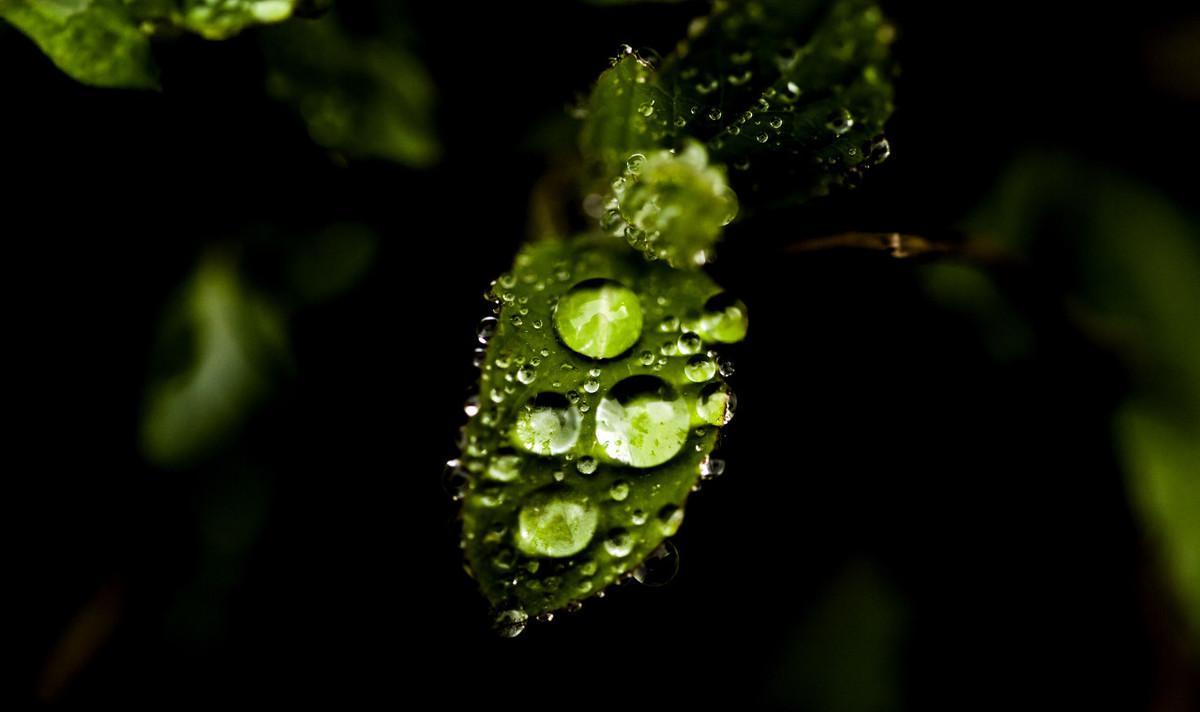 有哪些关于春雨的诗（关于春雨的古诗大全）