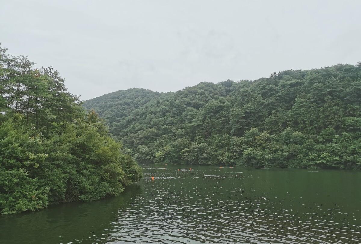 绿水青山古诗大全（绿水青山诗歌鉴赏）