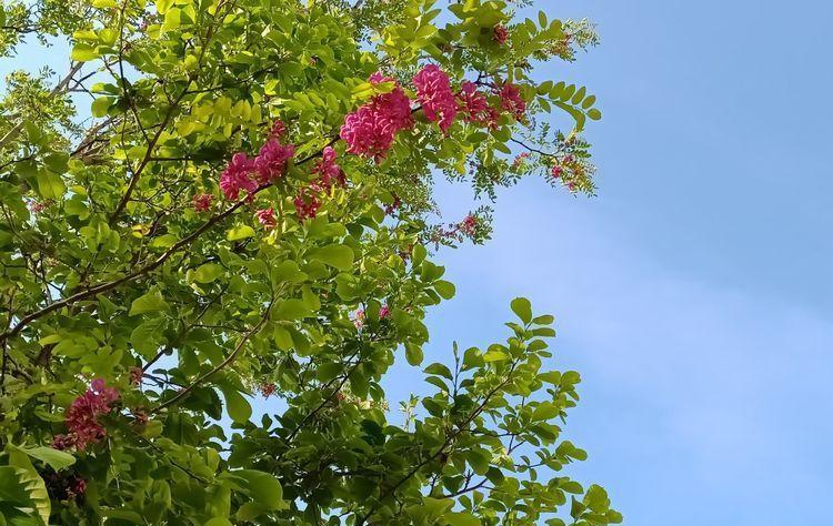 咏五四青年节的七律诗（五四青年节诗词七律）