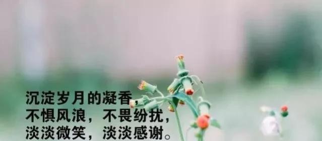 早安励志语录,祝福你开心顺心顺意的话（早安祝福励志语大全）