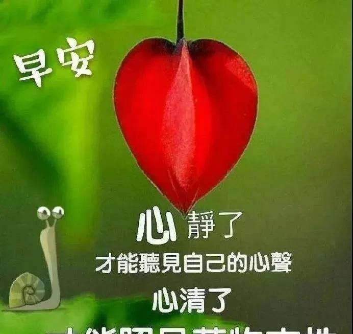 早安励志语录,祝福你开心顺心顺意的话（早安祝福励志语大全）