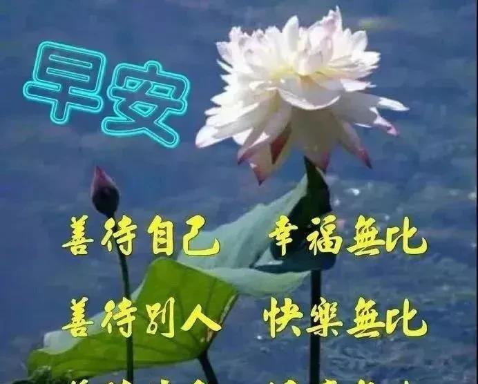 早安励志语录,祝福你开心顺心顺意的话（早安祝福励志语大全）