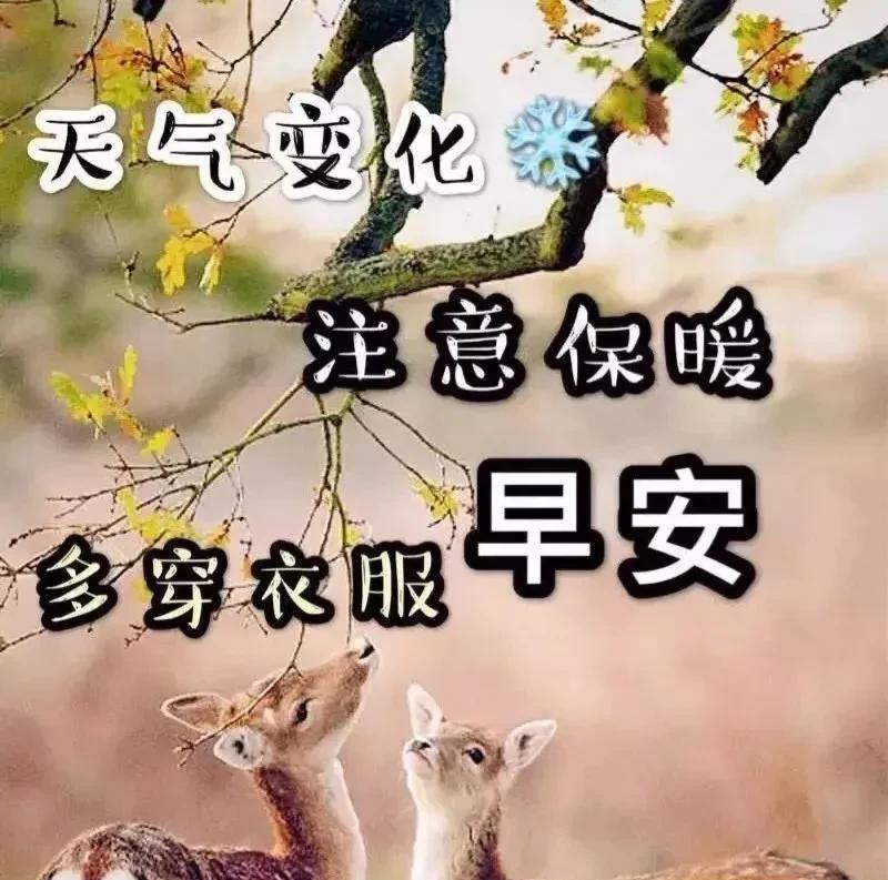 早安励志语录,祝福你开心顺心顺意的话（早安祝福励志语大全）