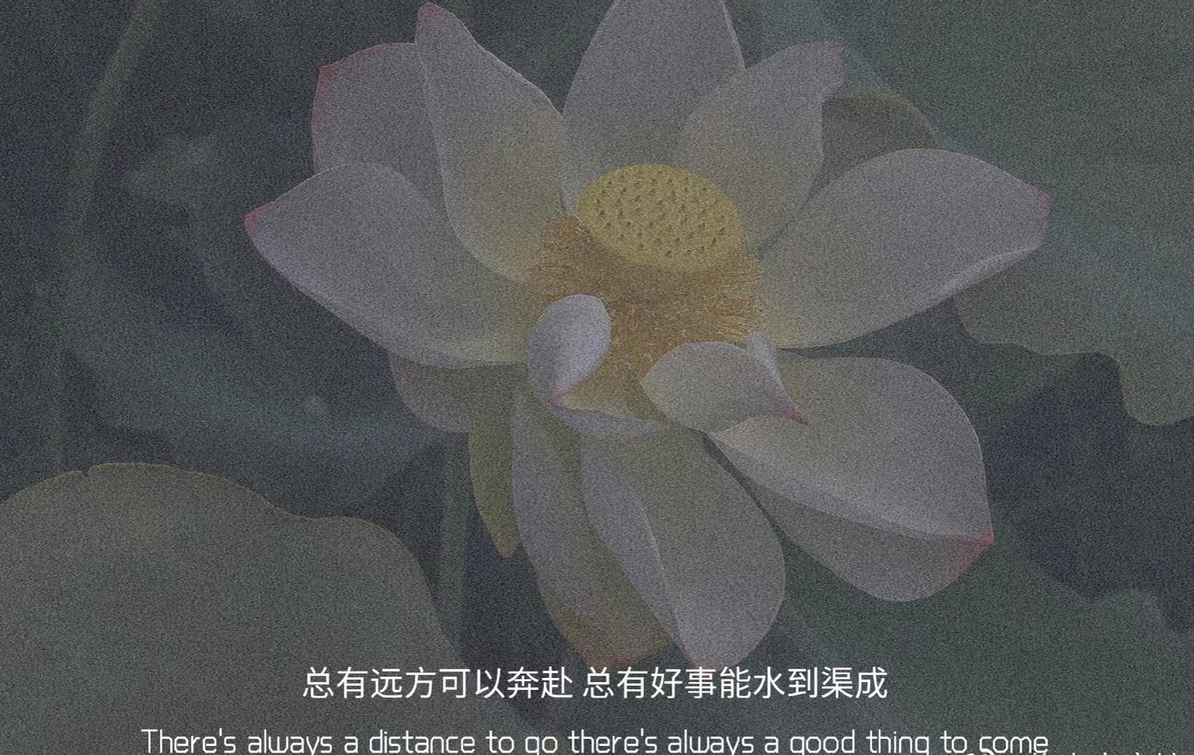 唯美温柔句子大全（优美温柔的句子）