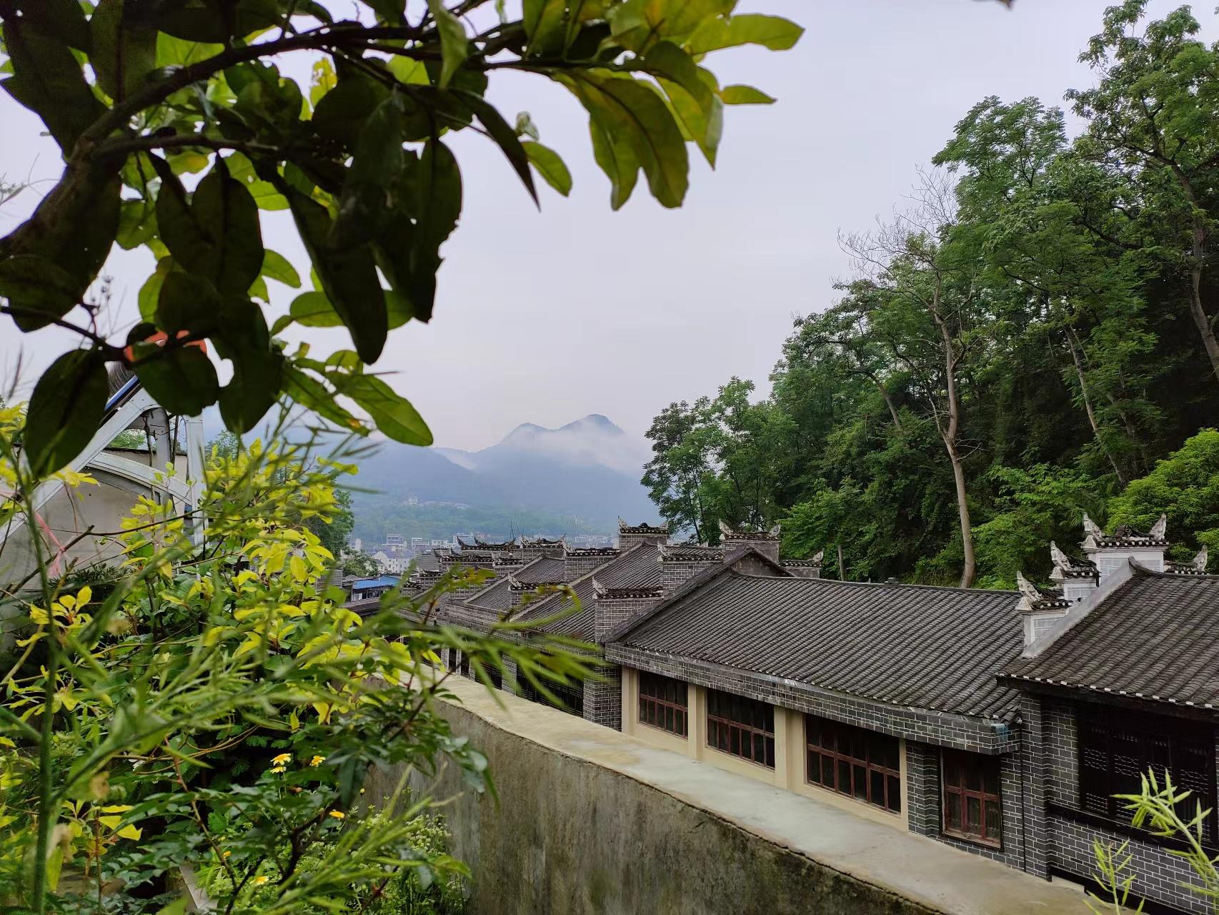 七绝雨后清晨（清晨细雨的七绝诗）