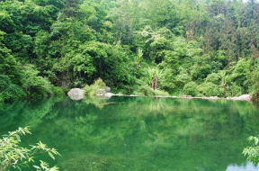 七律登峨眉山感怀（关于写峨眉山的诗）