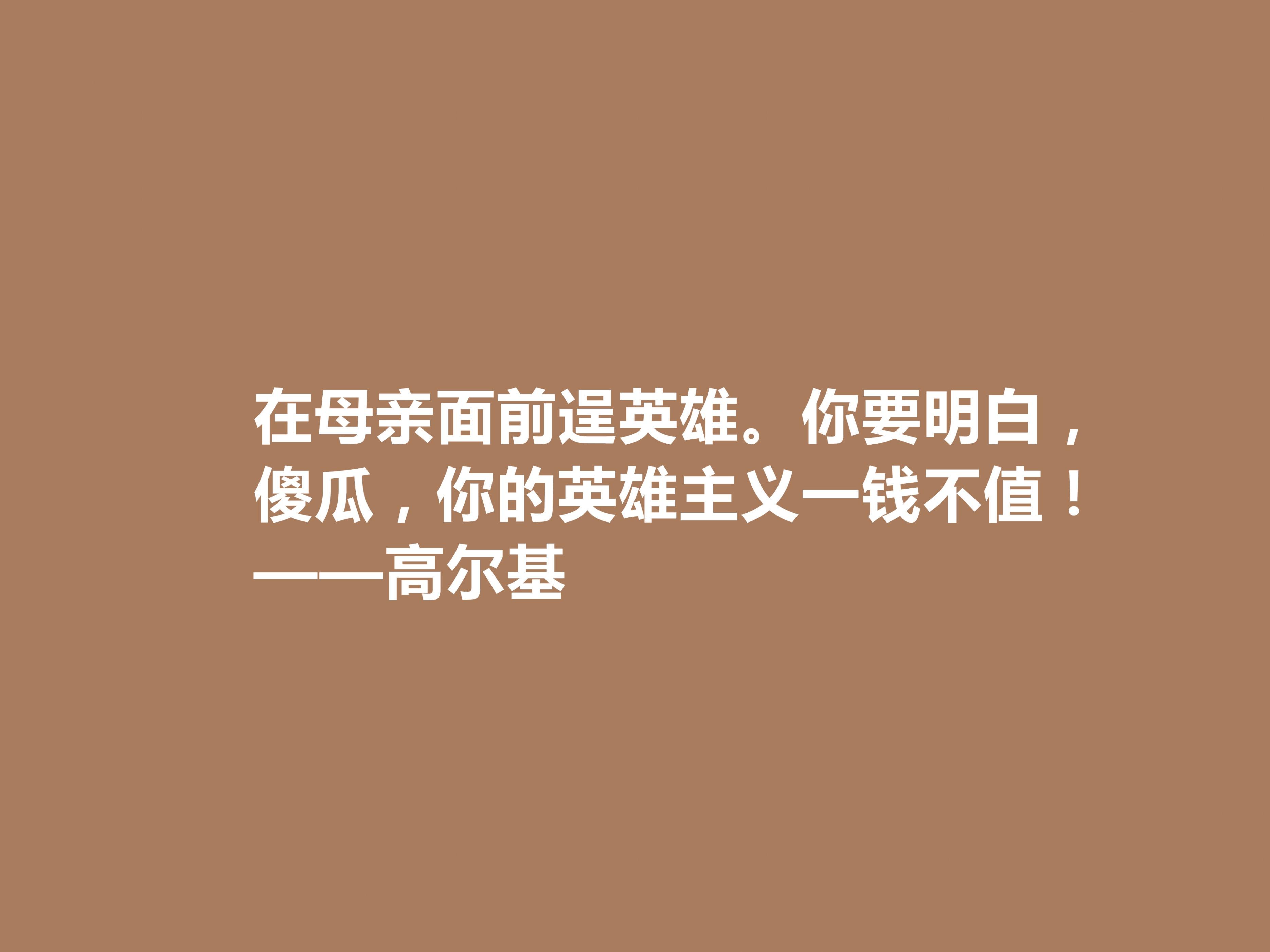 高尔基母亲的经典语录（高尔基母亲精彩语段）