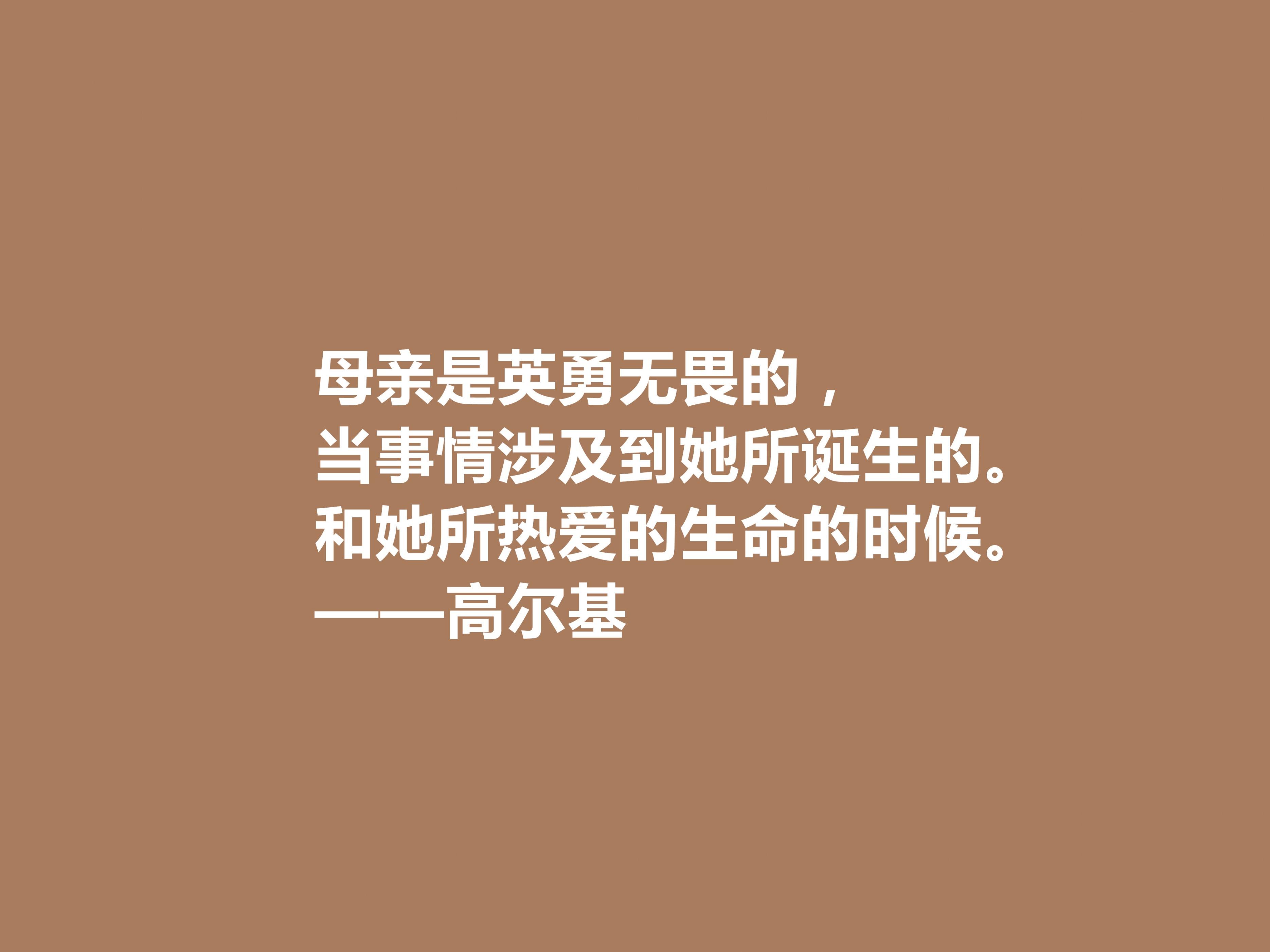 高尔基母亲的经典语录（高尔基母亲精彩语段）