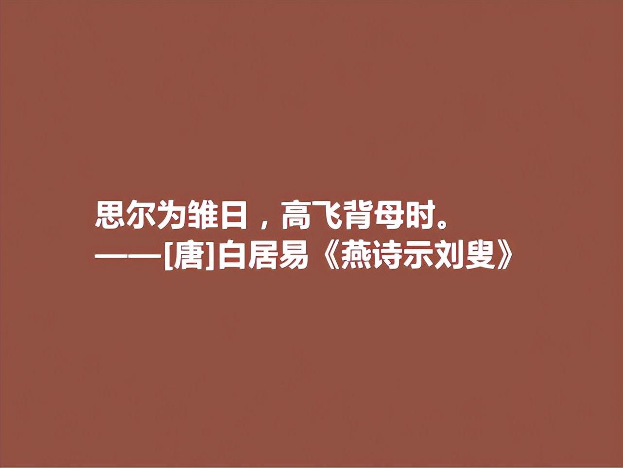 关于母亲的母爱的诗句（体现母亲伟大的诗句）