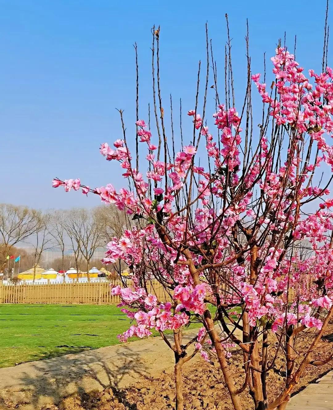 春字飞花令（关于春字的诗词飞花令）