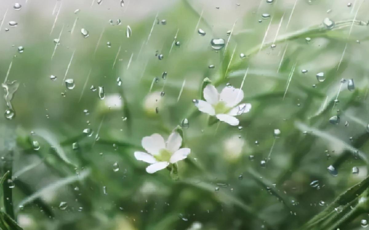 诗经里有关雨的诗句（关于雨的诗句和它的意境）