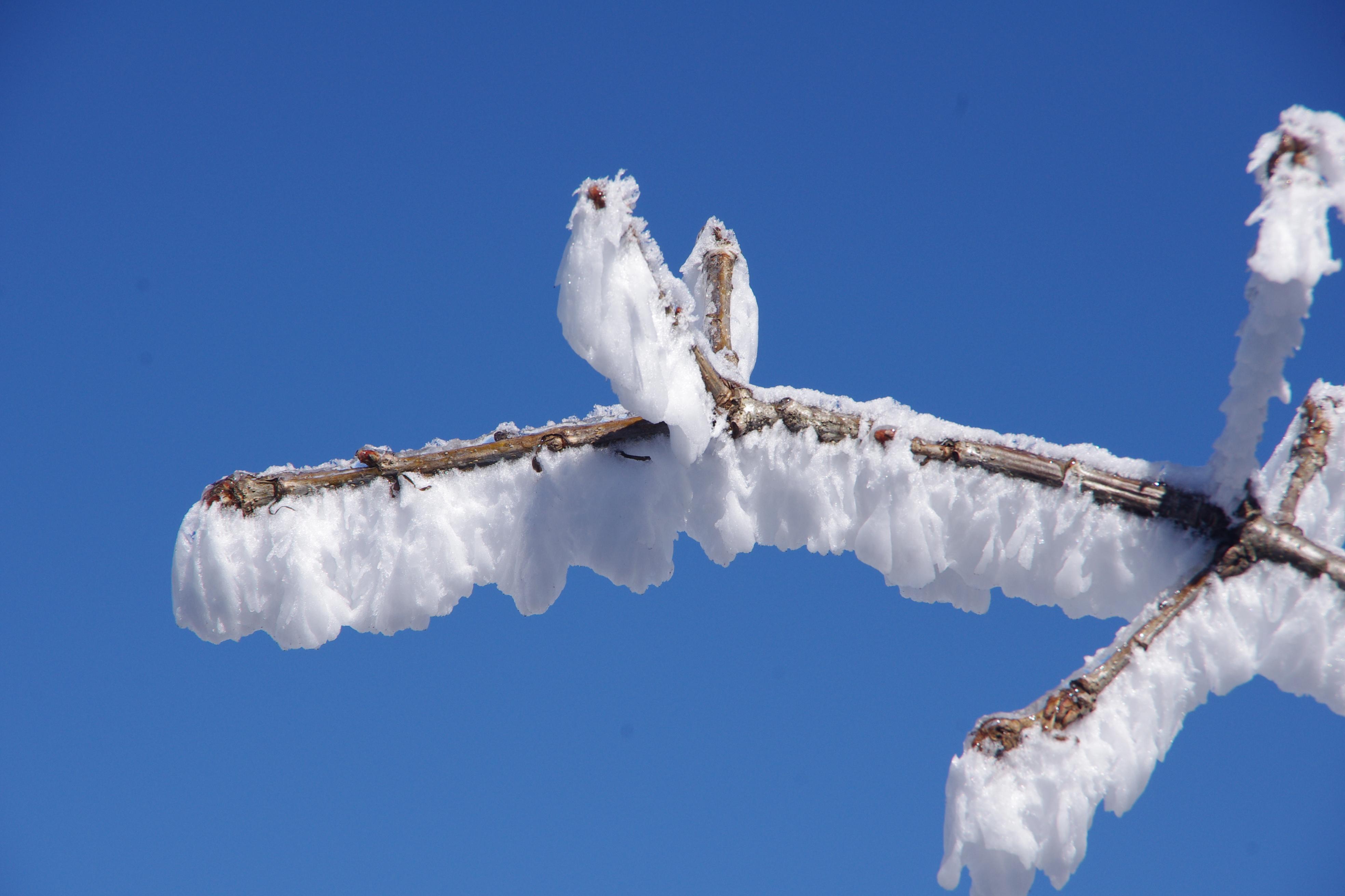 关于雪的优美句子发朋友圈（有关于雪的唯美句子）