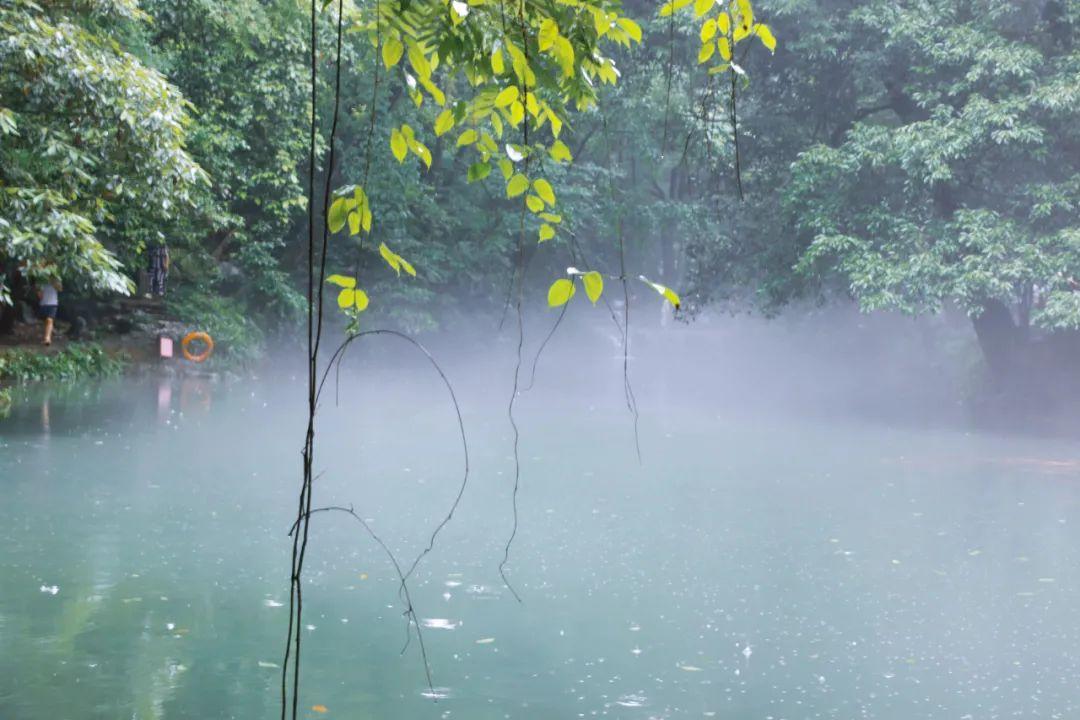 夏雨的优美诗句（赞美夏雨的诗句有哪些）