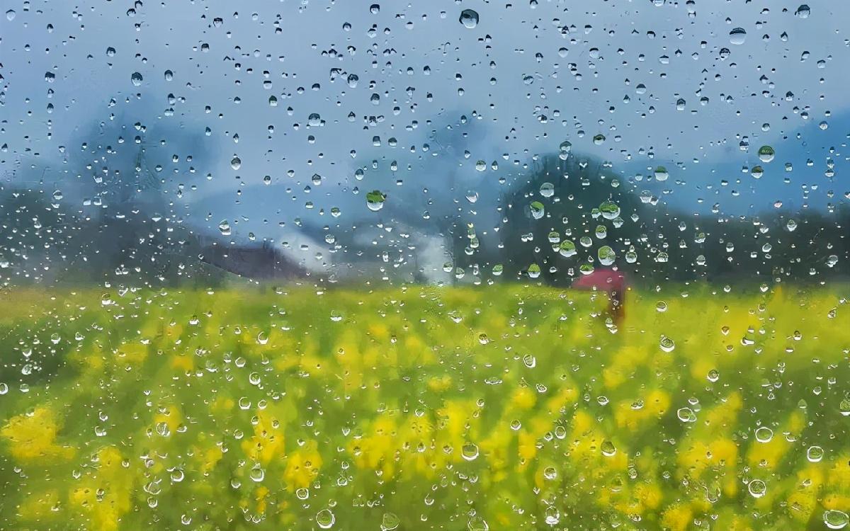 诗经里有关雨的诗句（关于雨的诗句和它的意境）