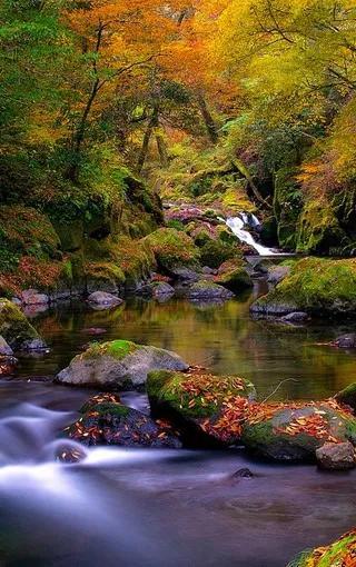 世界最美的山水风景（最美山水风光）