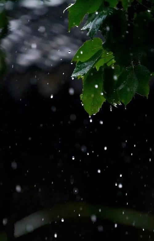 夏天的雨散文随笔（雨后的夏日散文）