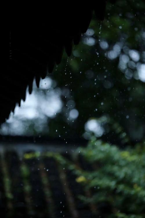 夏天的雨散文随笔（雨后的夏日散文）