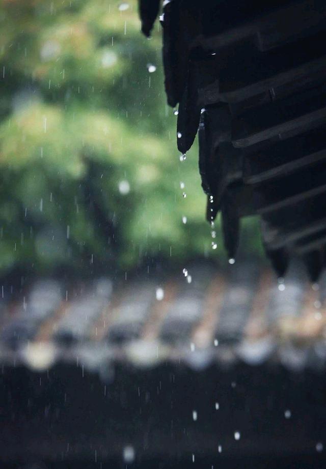 关于夏雨的诗歌（歌颂夏雨的诗）