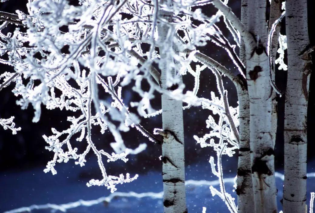 写雪的诗现代诗（现代写雪的诗大全）