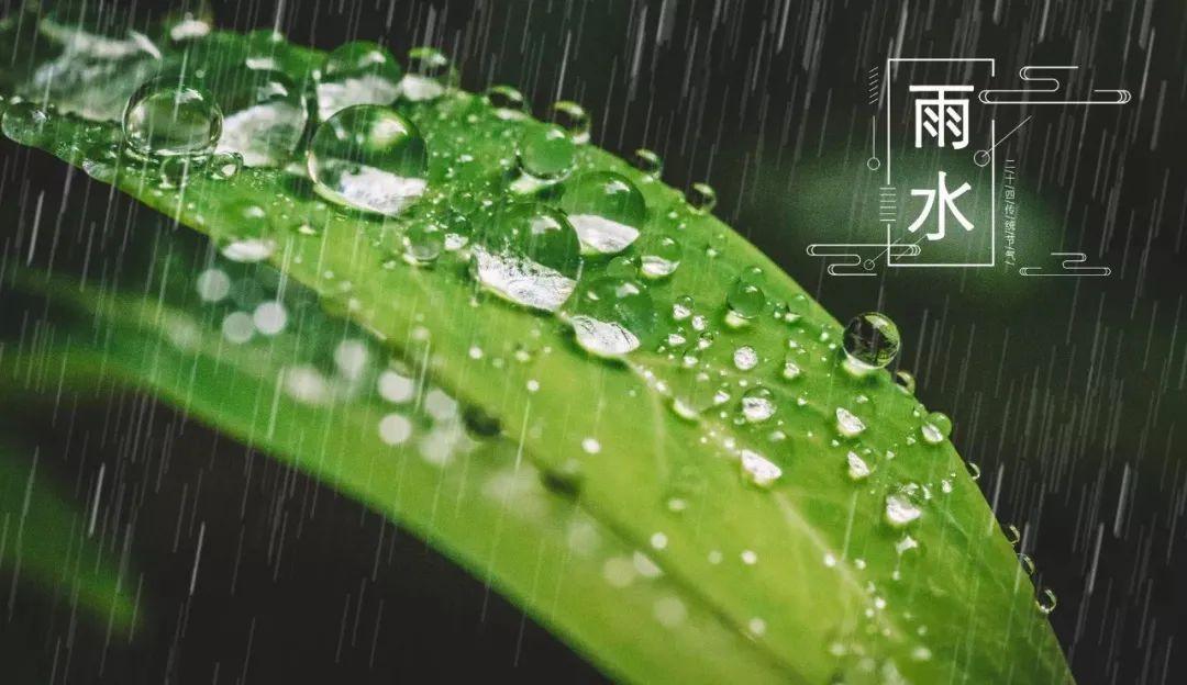 春天雨水节气的诗词（春雨节气的诗句）