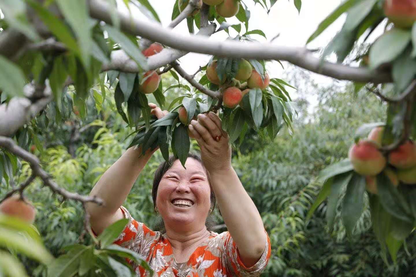 写给家乡的赞美诗歌（歌颂赞美家乡的诗）