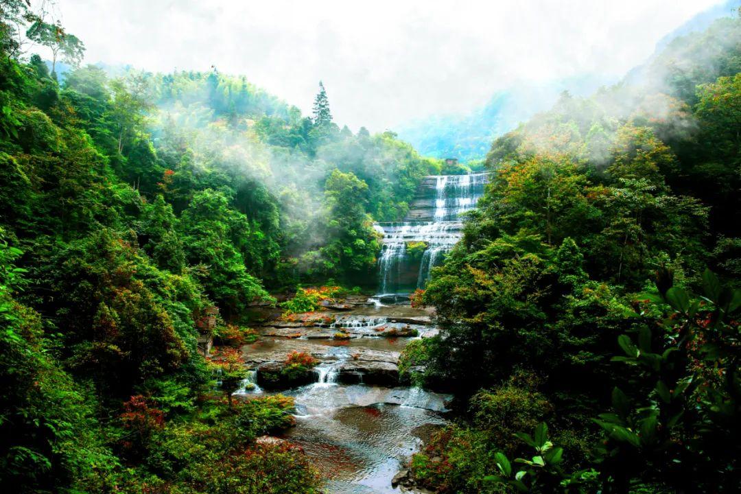 夏雨的优美诗句（赞美夏雨的诗句有哪些）