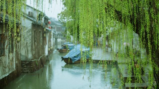 五年级习作雨中即景（雨中即景五年级作文）