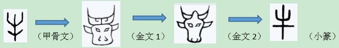 说文解字“牛”（说文解字牛的起源）