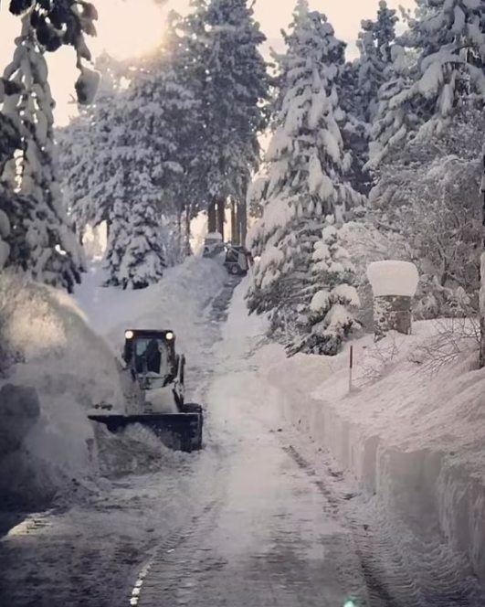 鹰眼扮演者被扫雪机碾过腿部（恐终身残疾）