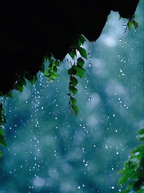 夏天的雨散文随笔（雨后的夏日散文）