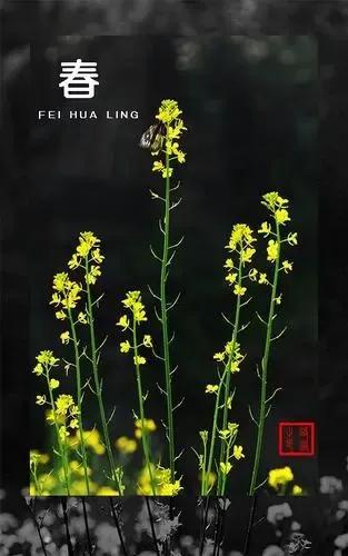 带有春字的古诗大全飞花令（飞花令中带有春字的诗句）