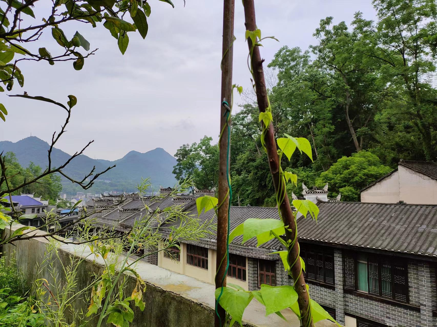 写夏日清晨的七绝（夏日清晨七律诗）