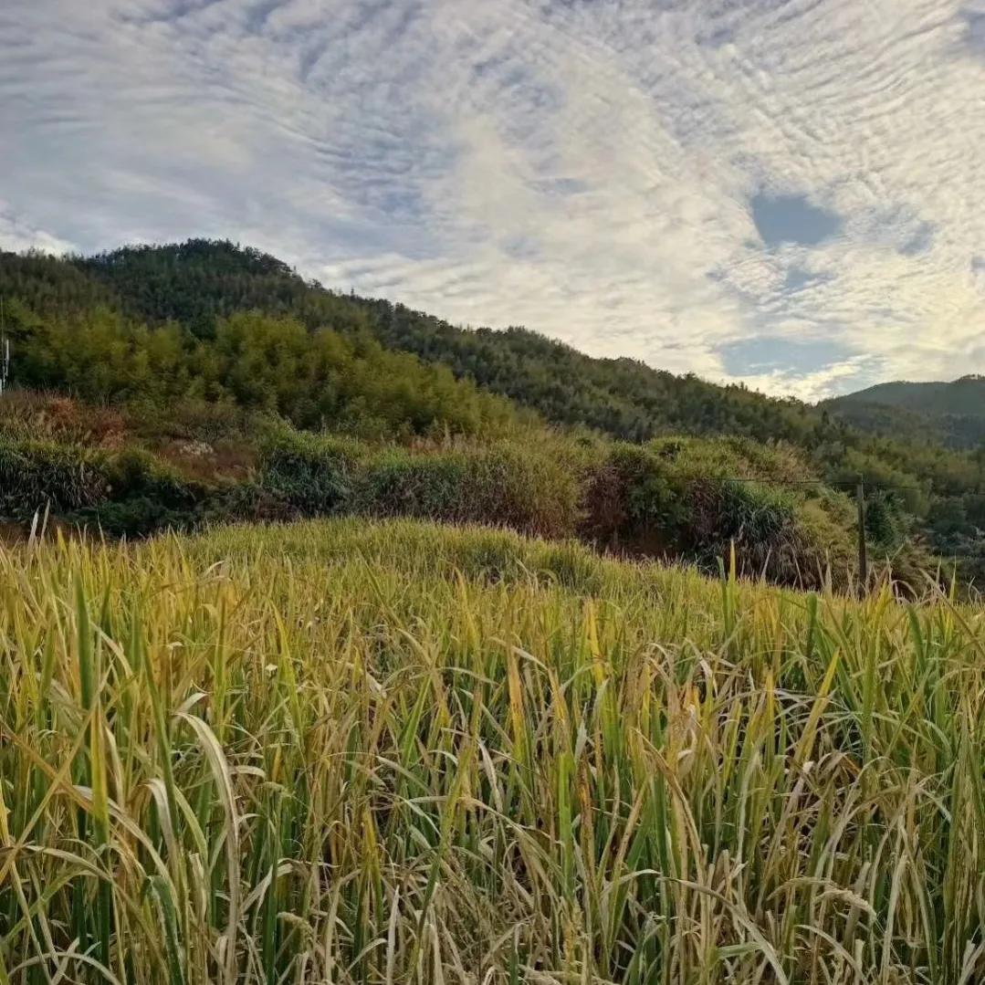 秋词其一原文及翻译（秋词其一诗歌鉴赏）