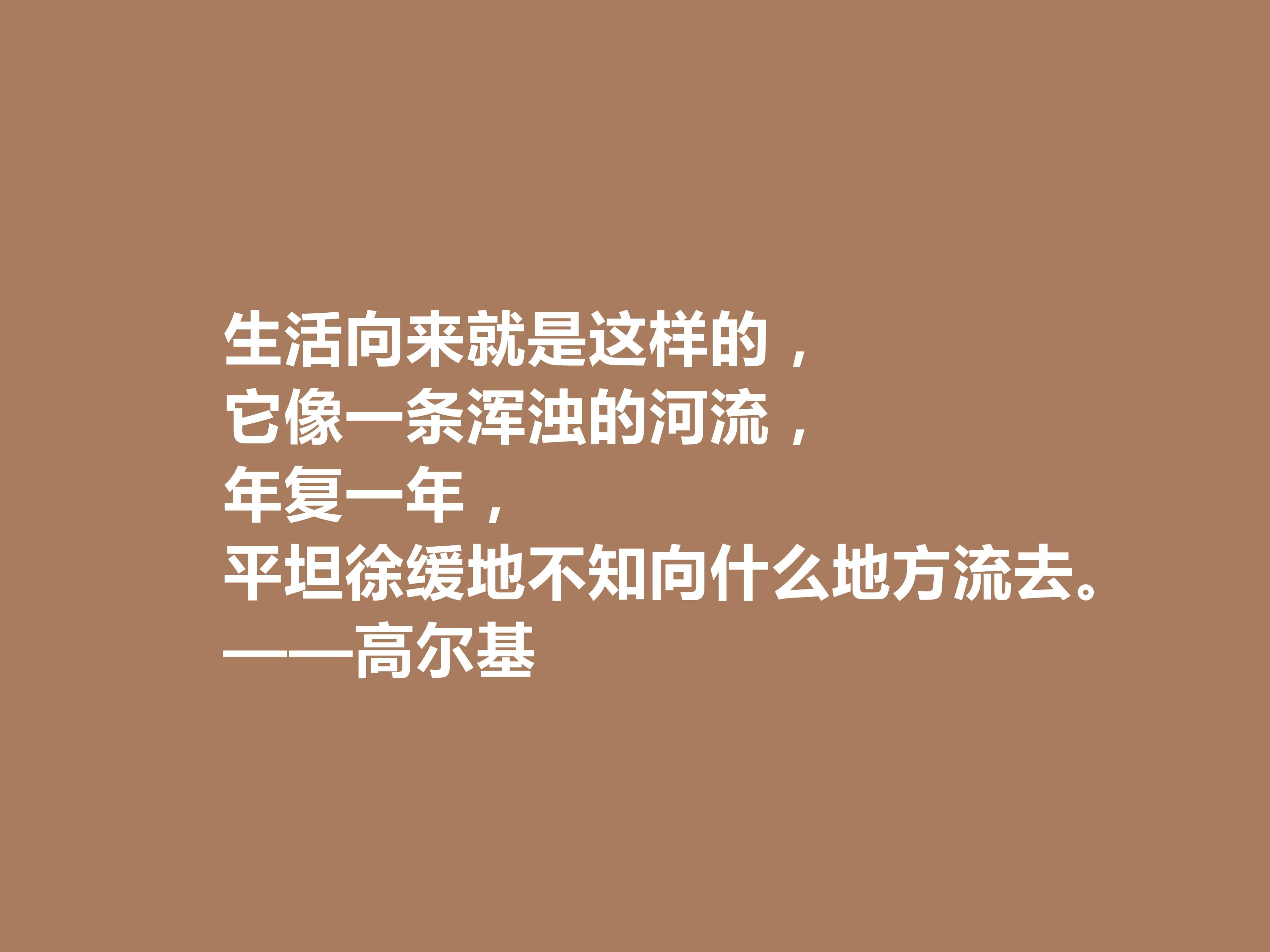 高尔基母亲的经典语录（高尔基母亲精彩语段）