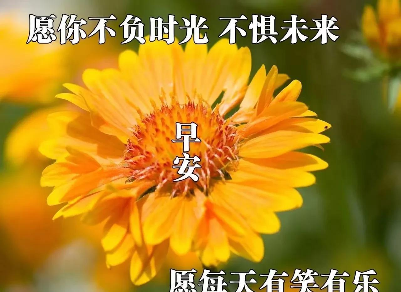 幸福是什么的经典语录（什么是幸福的经典句子）